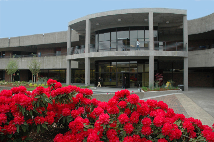 Library front